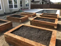 raised beds